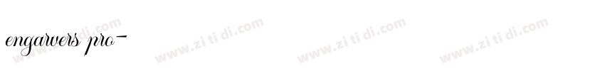 engarvers pro字体转换